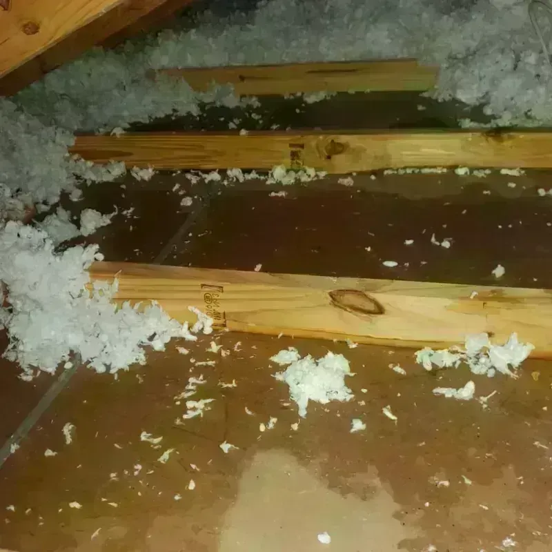 Attic Water Damage in San Marcos, TX