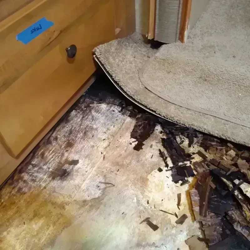 Wood Floor Water Damage in San Marcos, TX